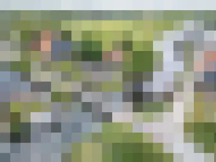 Noardein 16 Oppenhuizen thumbnail 59