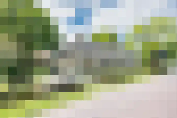 Noardein 16 Oppenhuizen thumbnail 61