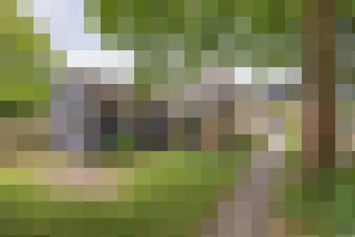 Noardein 16 Oppenhuizen thumbnail 62