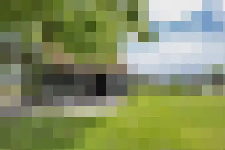Noardein 16 Oppenhuizen thumbnail 8