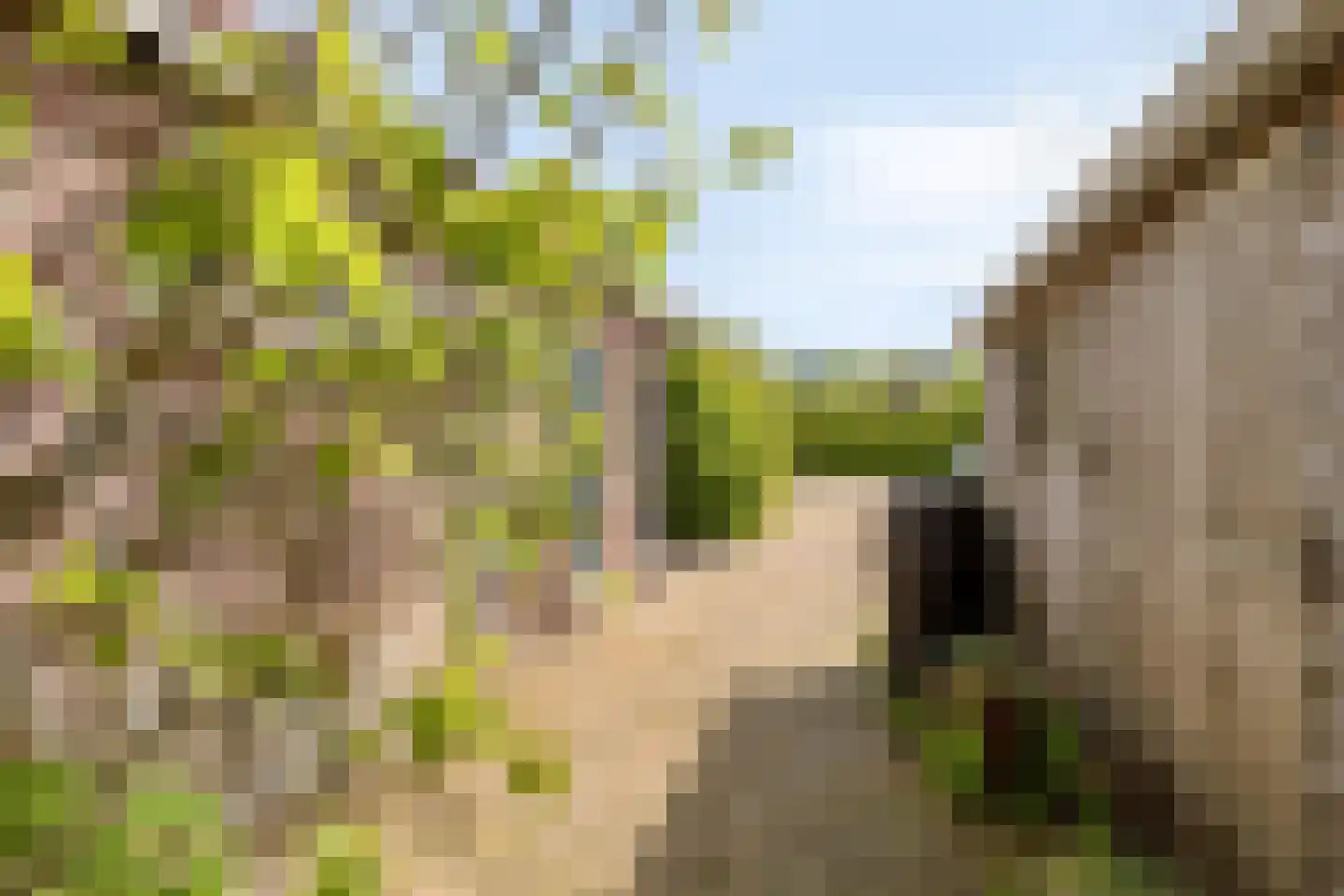 Noardein 64 Oppenhuizen thumbnail 11