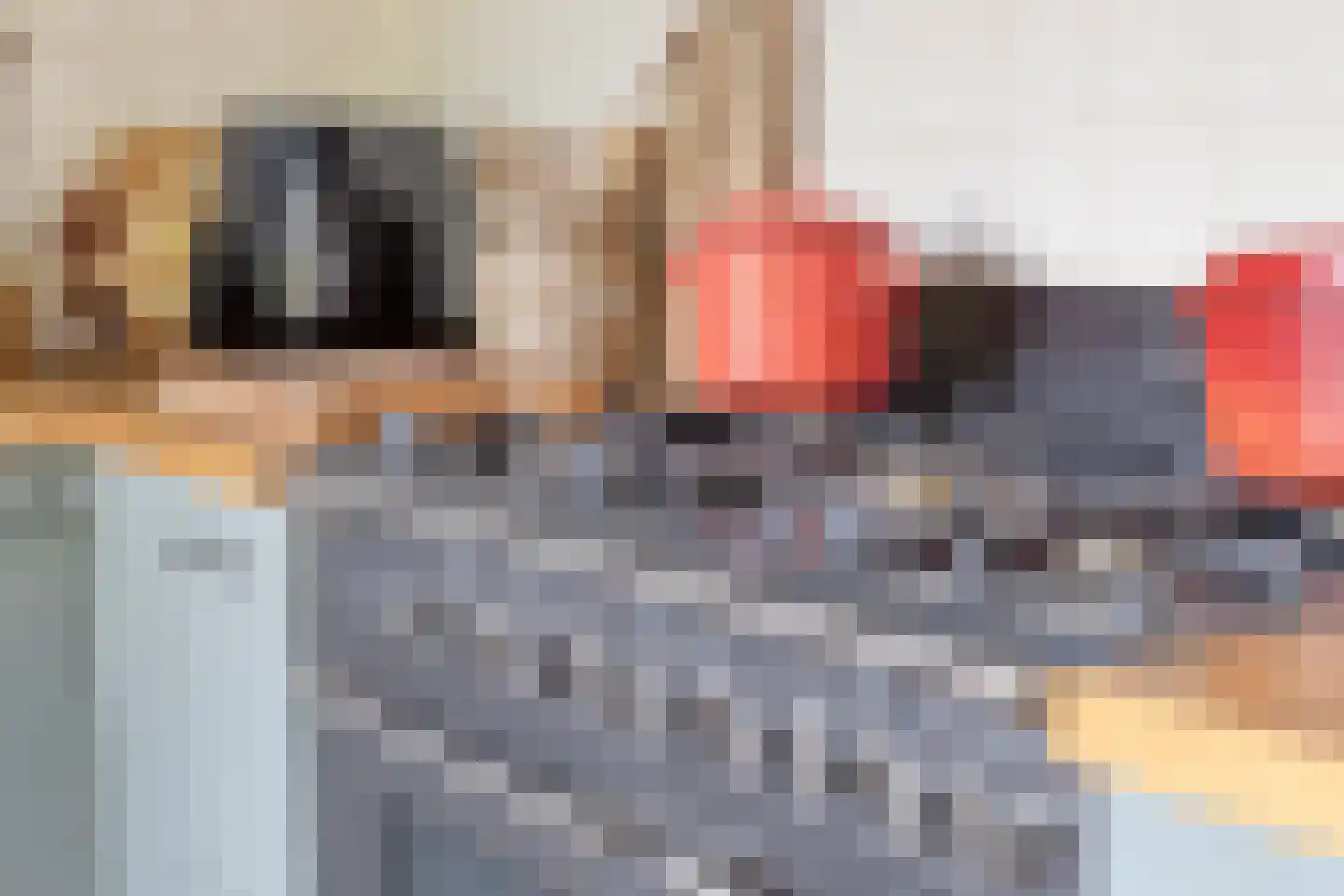 Noardein 64 Oppenhuizen thumbnail 13