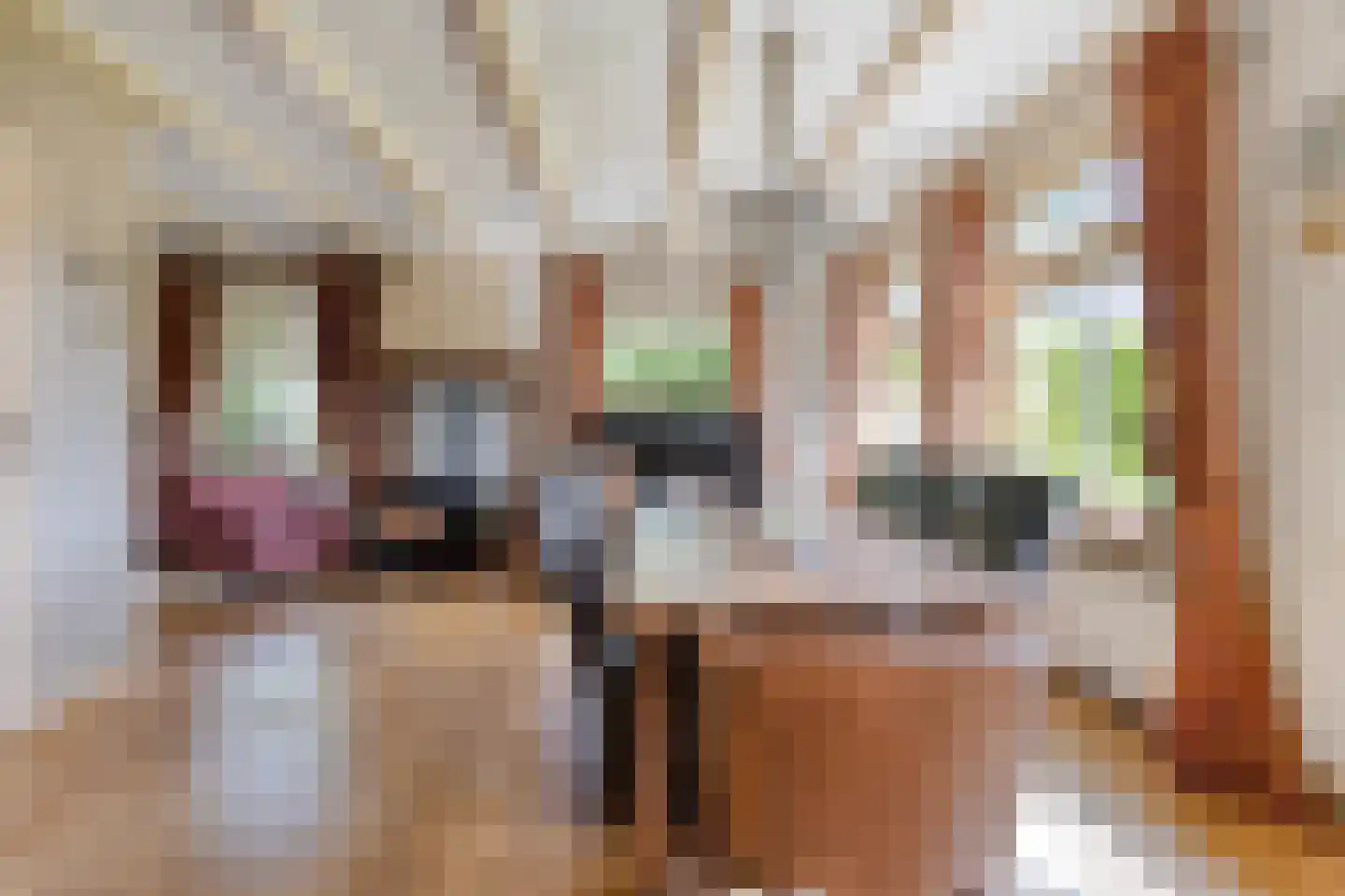 Noardein 64 Oppenhuizen thumbnail 15