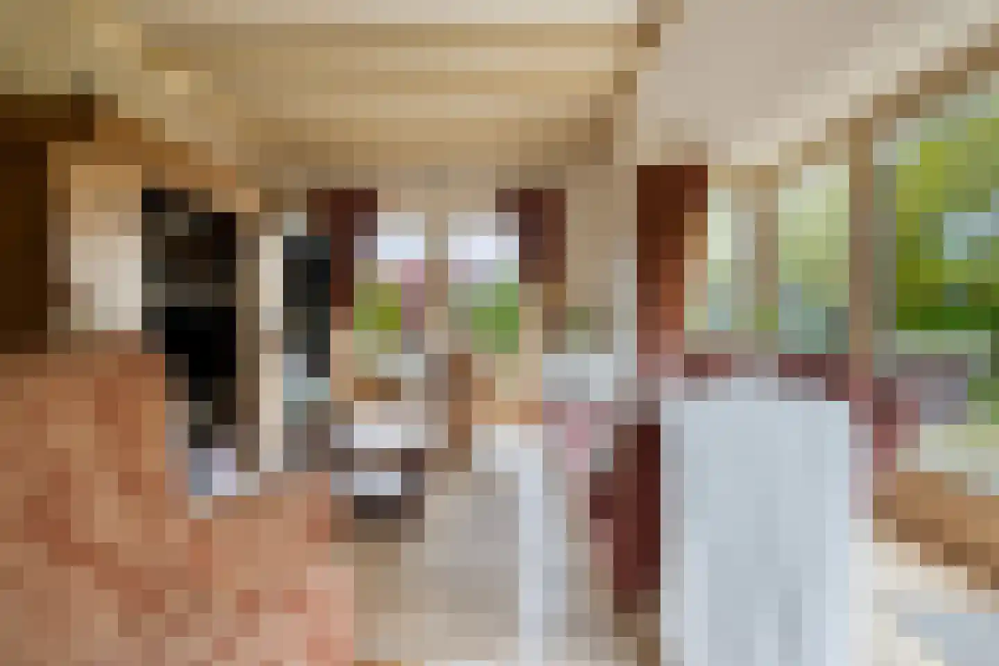 Noardein 64 Oppenhuizen thumbnail 21