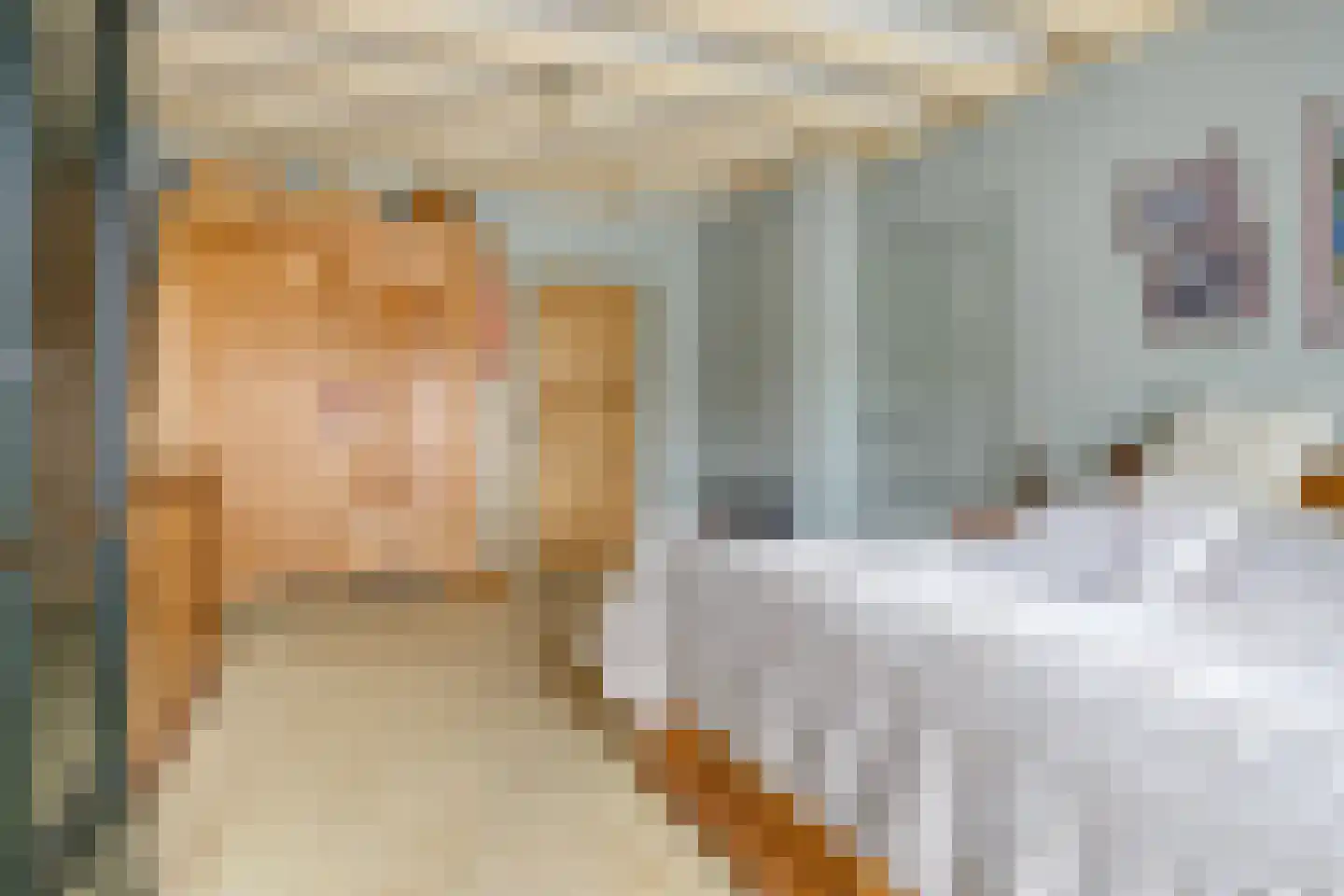 Noardein 64 Oppenhuizen thumbnail 24