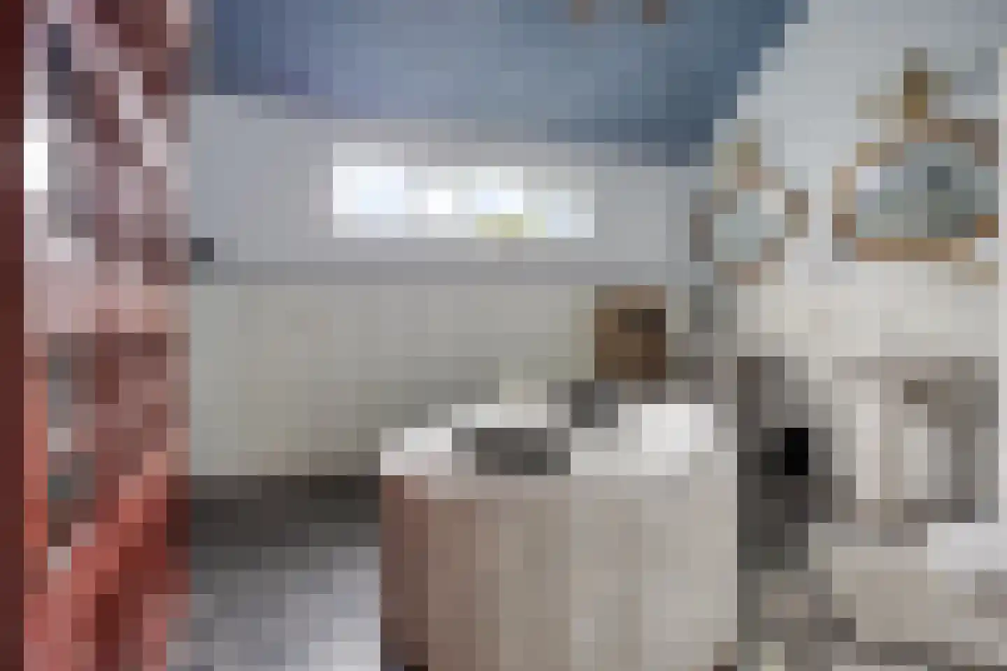 Noardein 64 Oppenhuizen thumbnail 25