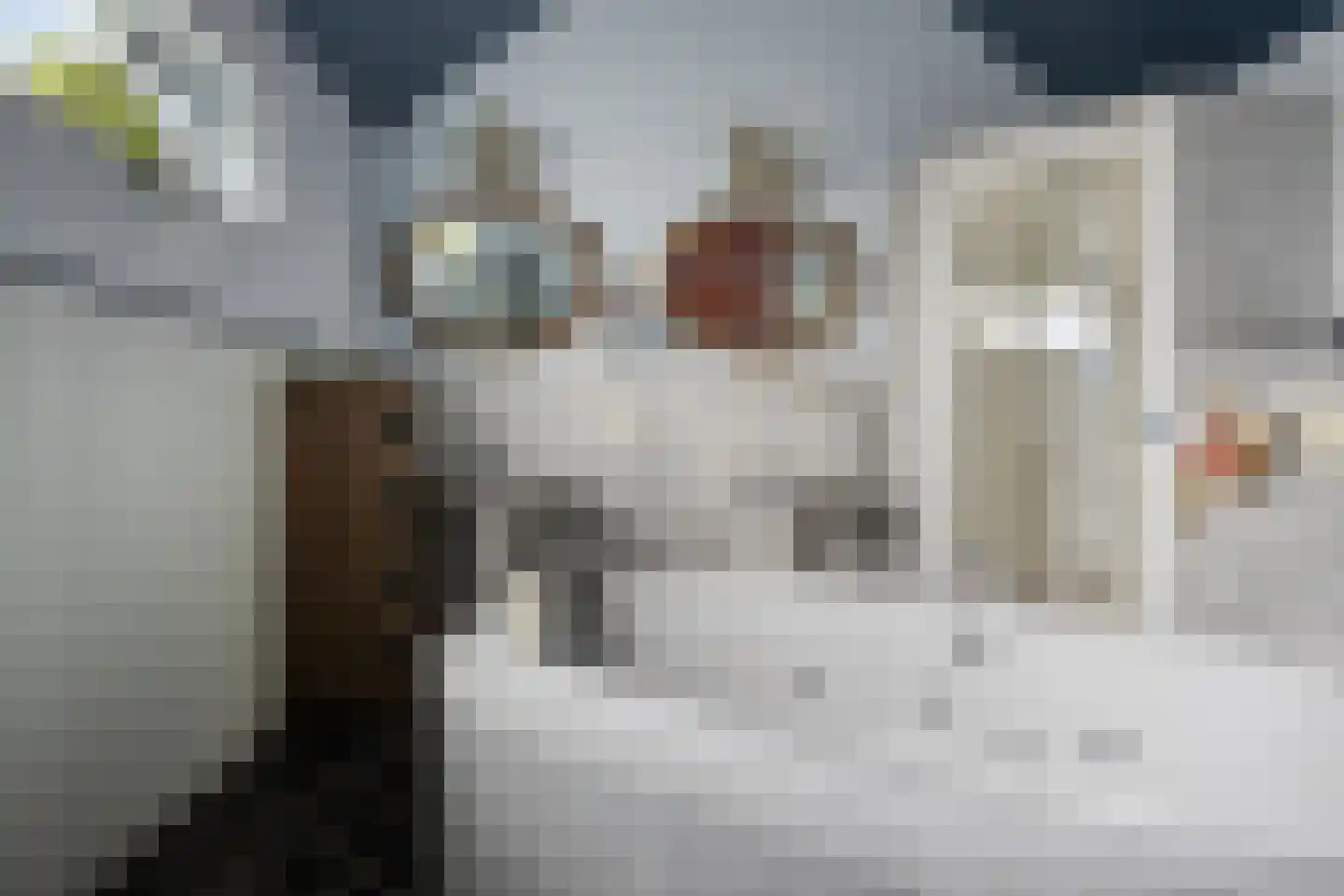 Noardein 64 Oppenhuizen thumbnail 26