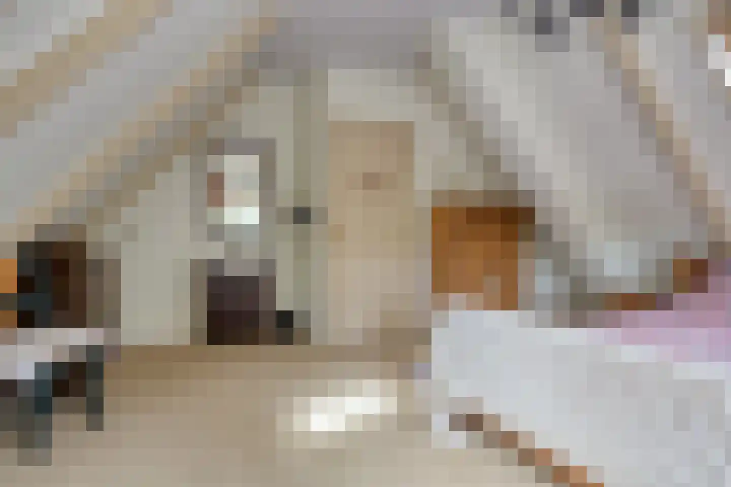 Noardein 64 Oppenhuizen thumbnail 31
