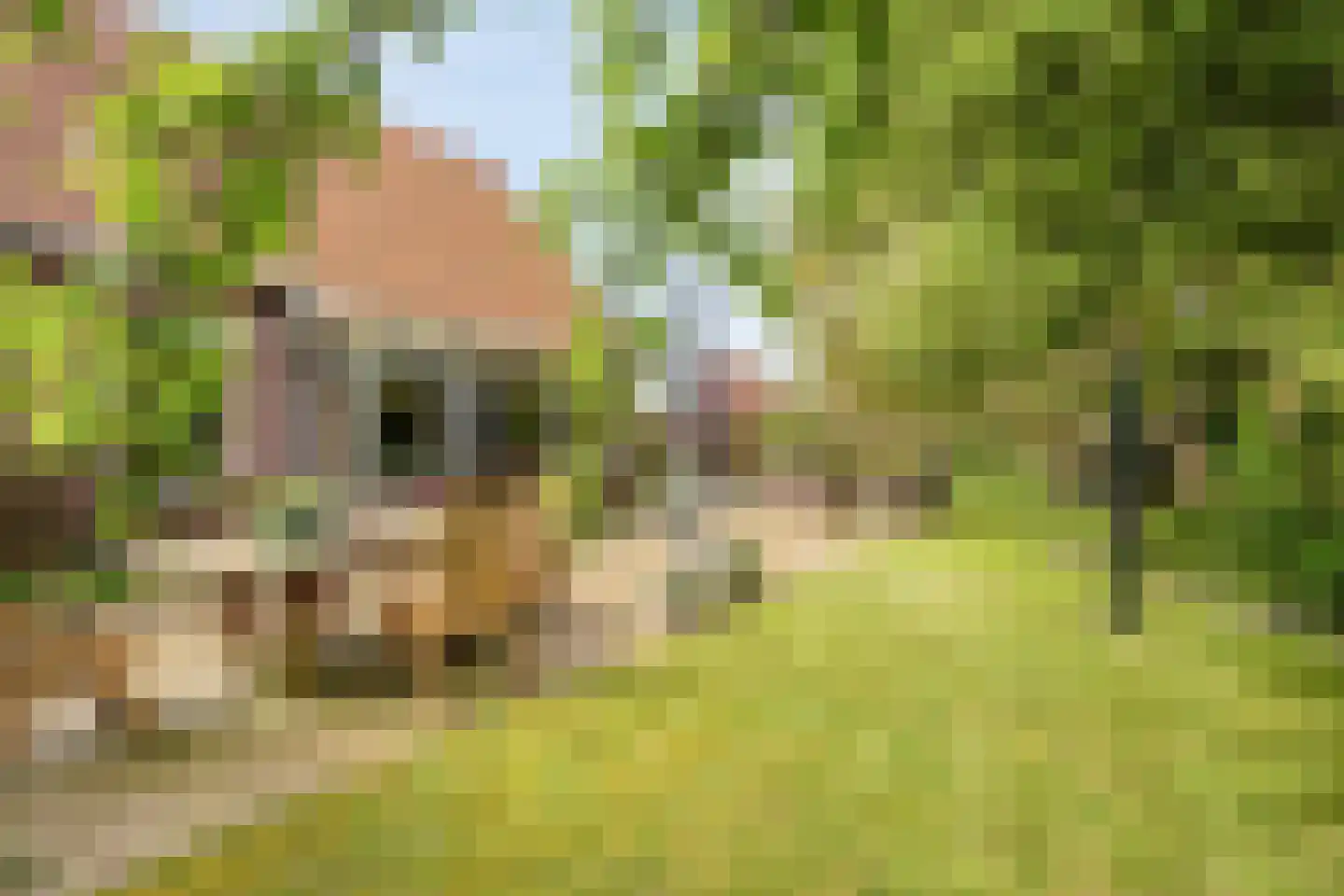 Noardein 64 Oppenhuizen thumbnail 38