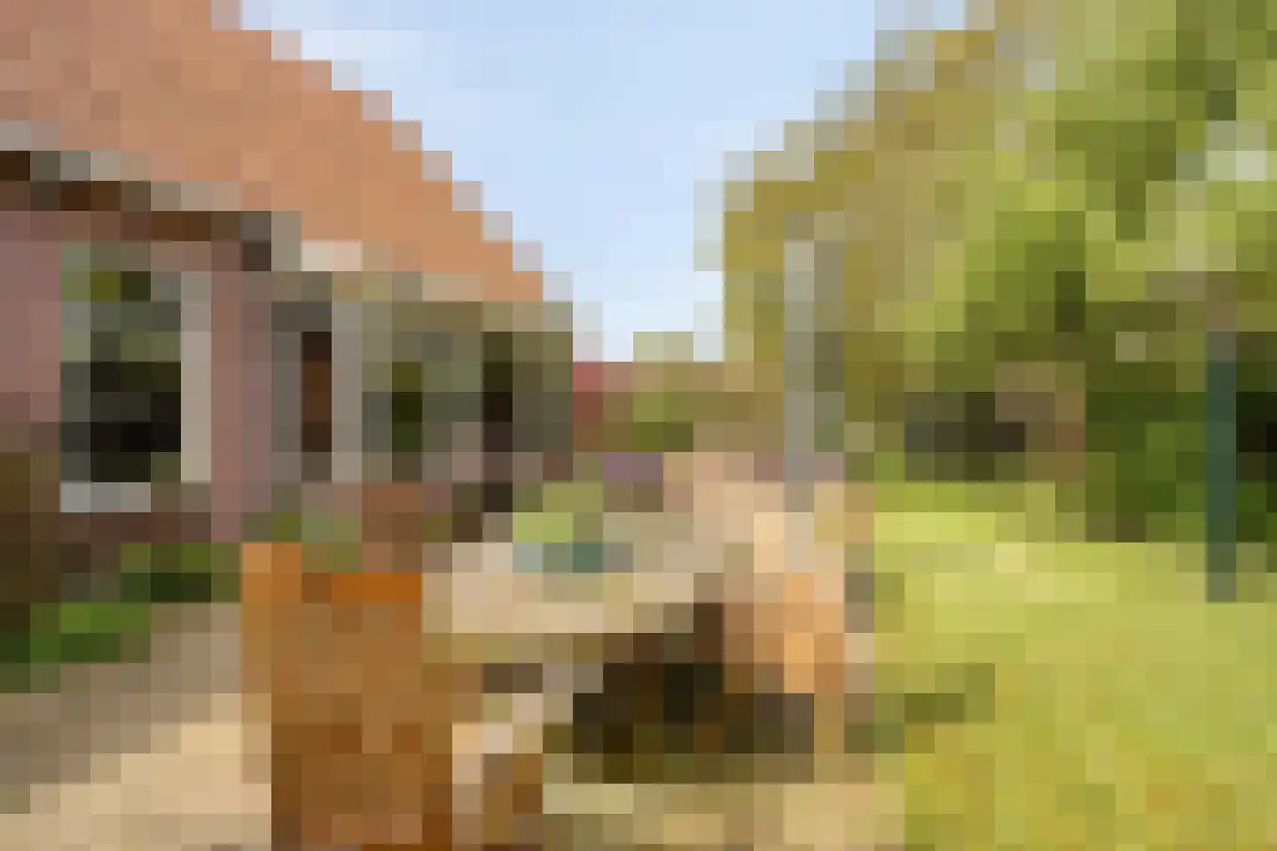 Noardein 64 Oppenhuizen thumbnail 39