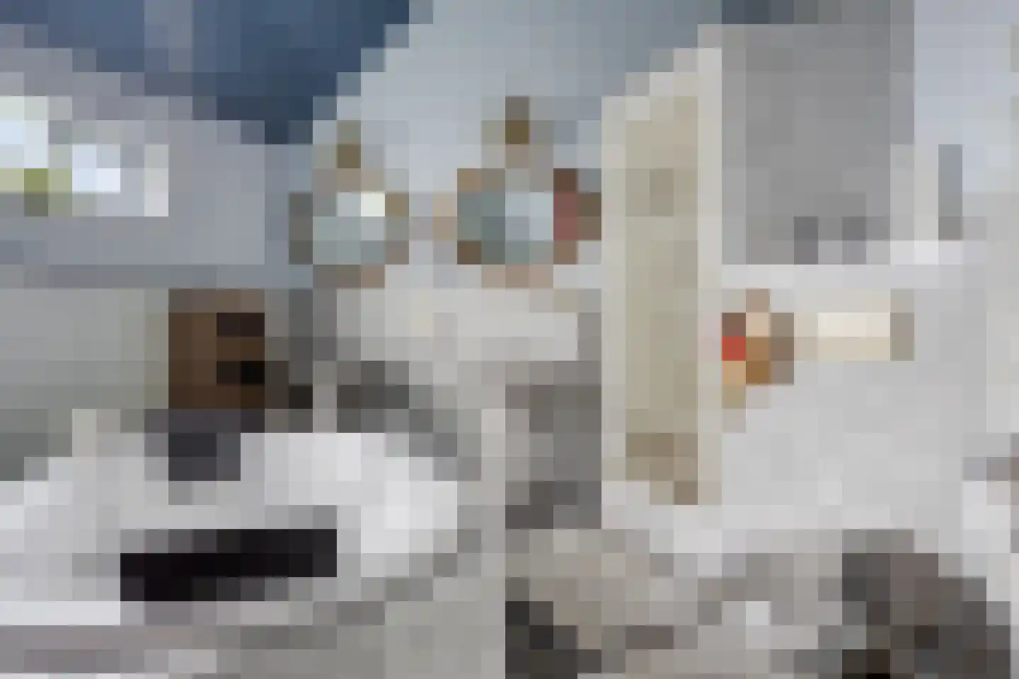 Noardein 64 Oppenhuizen thumbnail 4