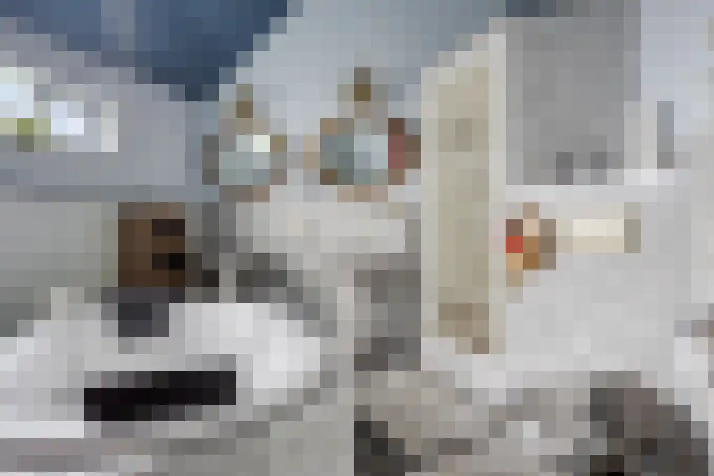 Noardein 64 Oppenhuizen thumbnail 4