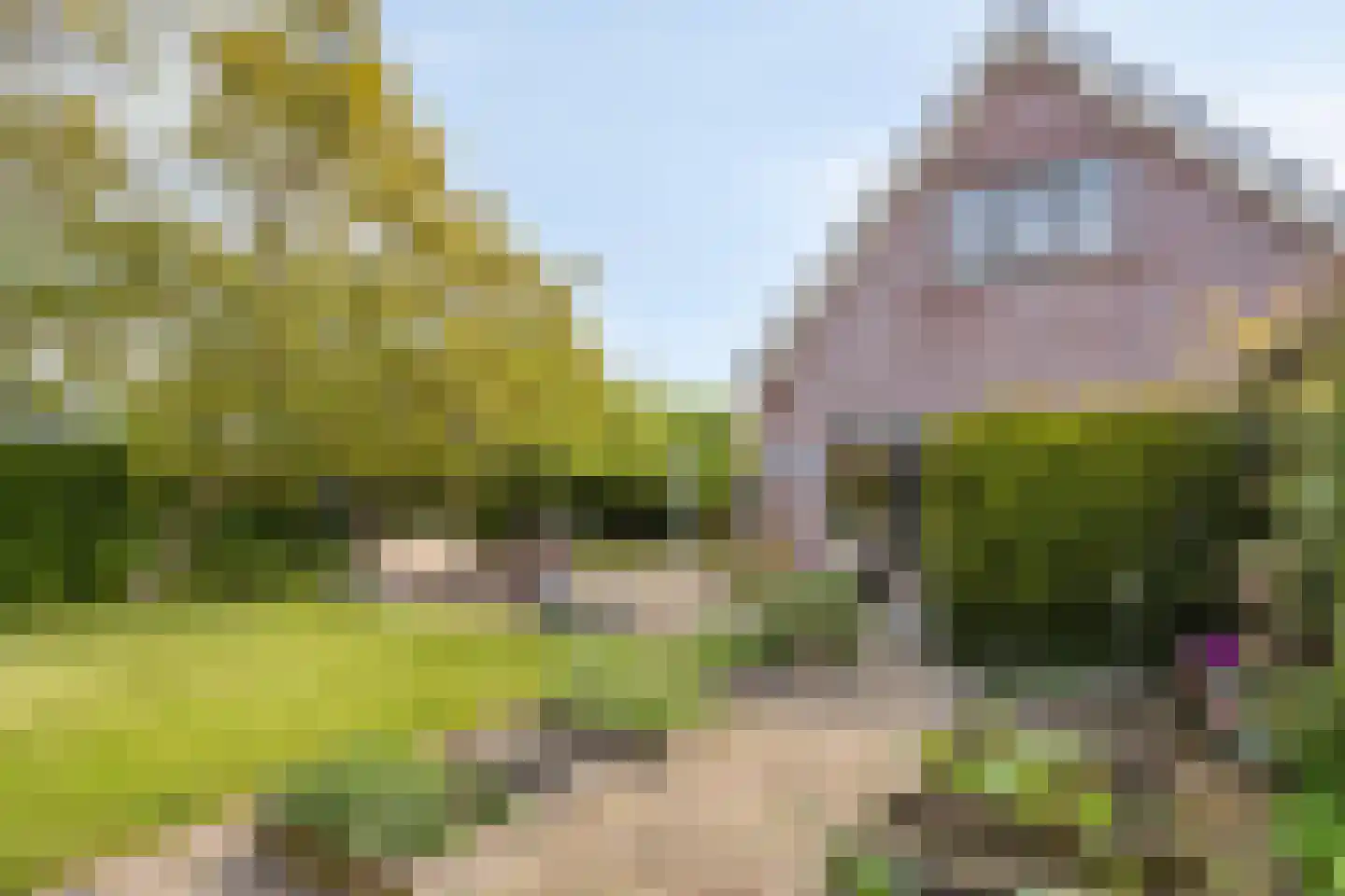 Noardein 64 Oppenhuizen thumbnail 41