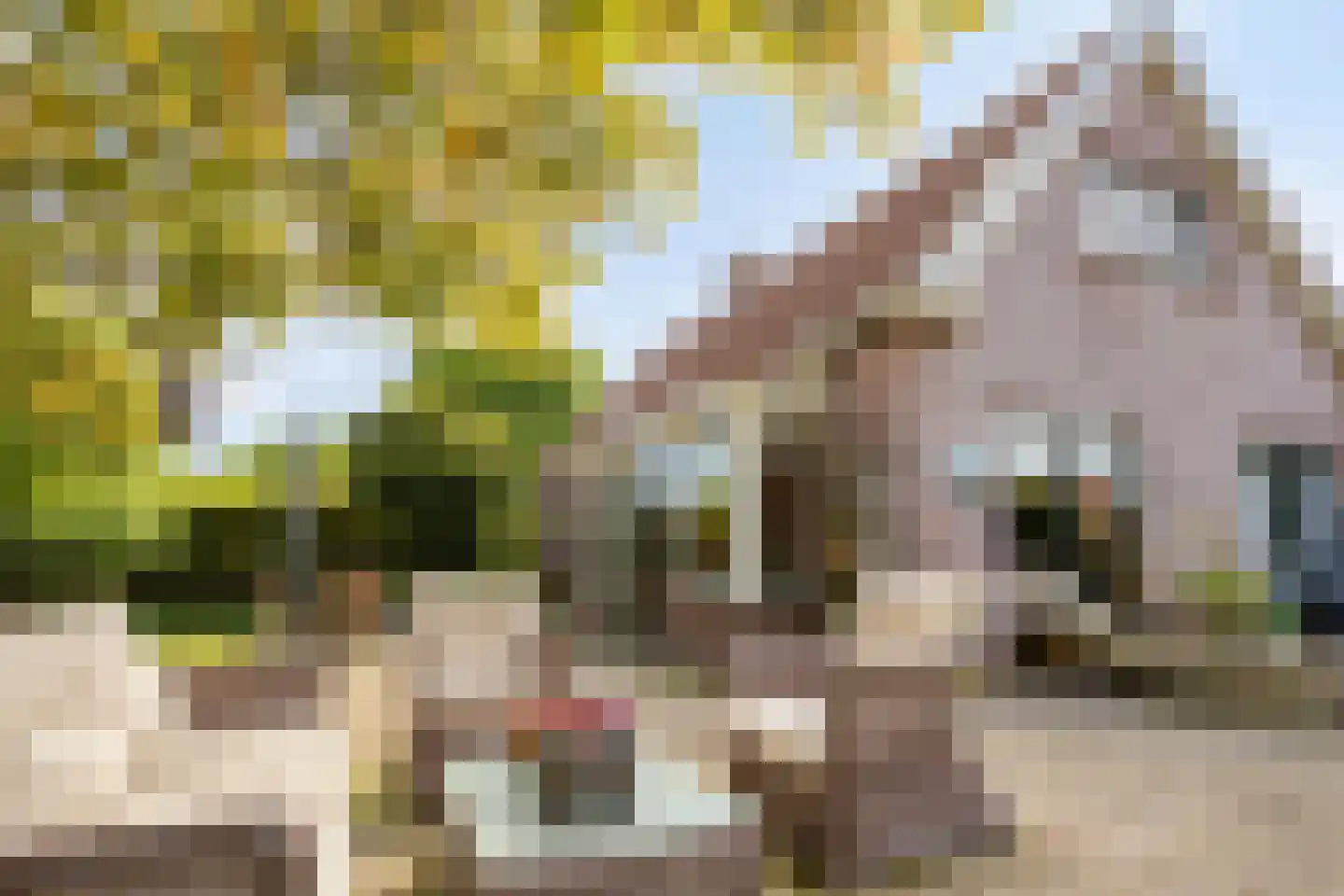 Noardein 64 Oppenhuizen thumbnail 42