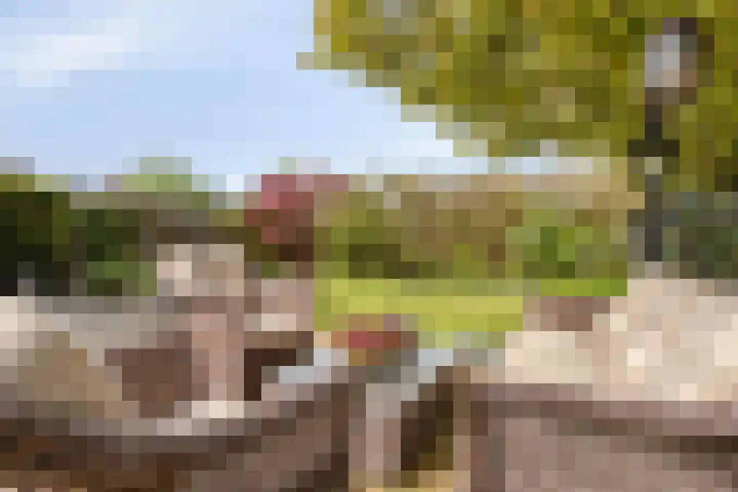 Noardein 64 Oppenhuizen thumbnail 43