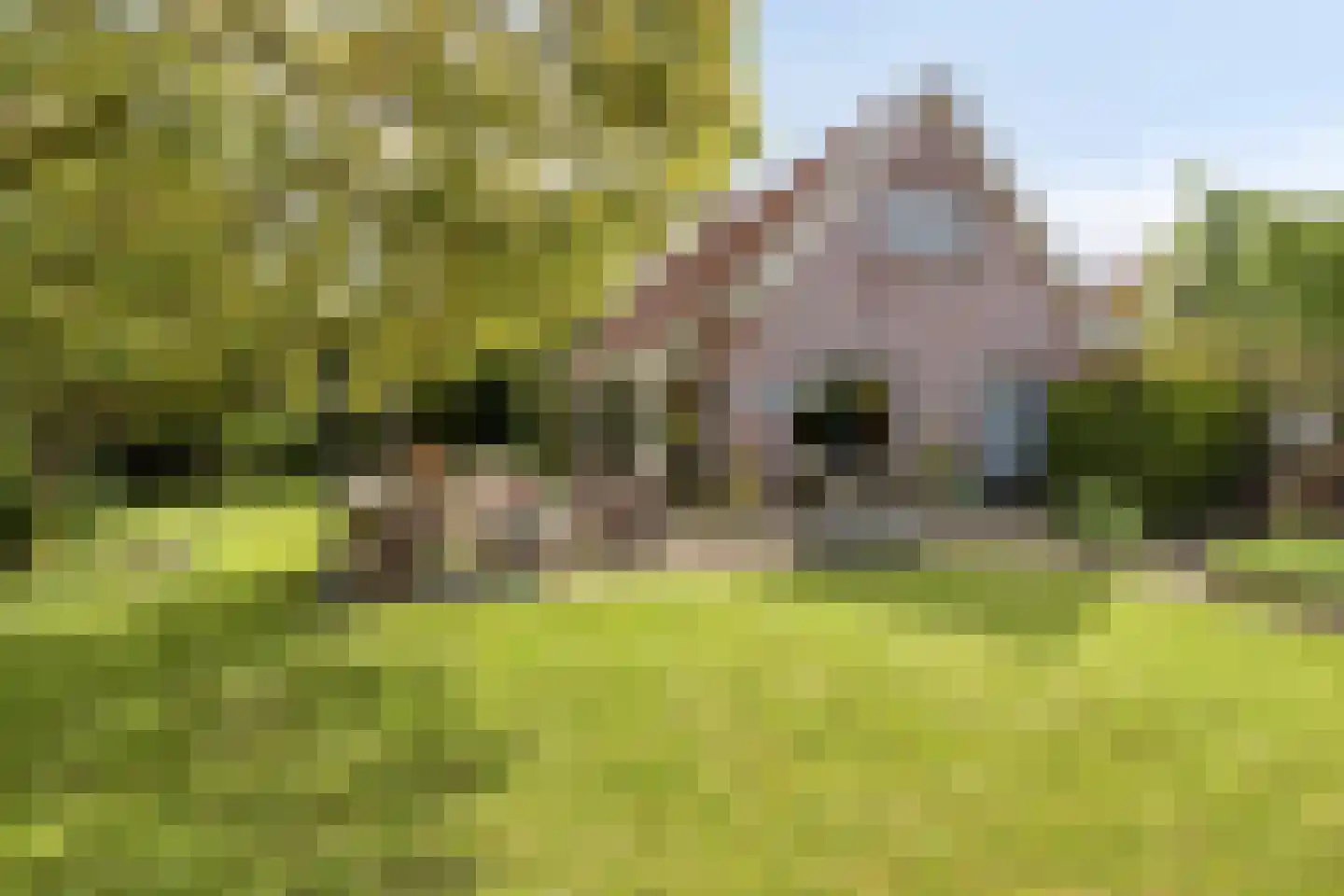 Noardein 64 Oppenhuizen thumbnail 5