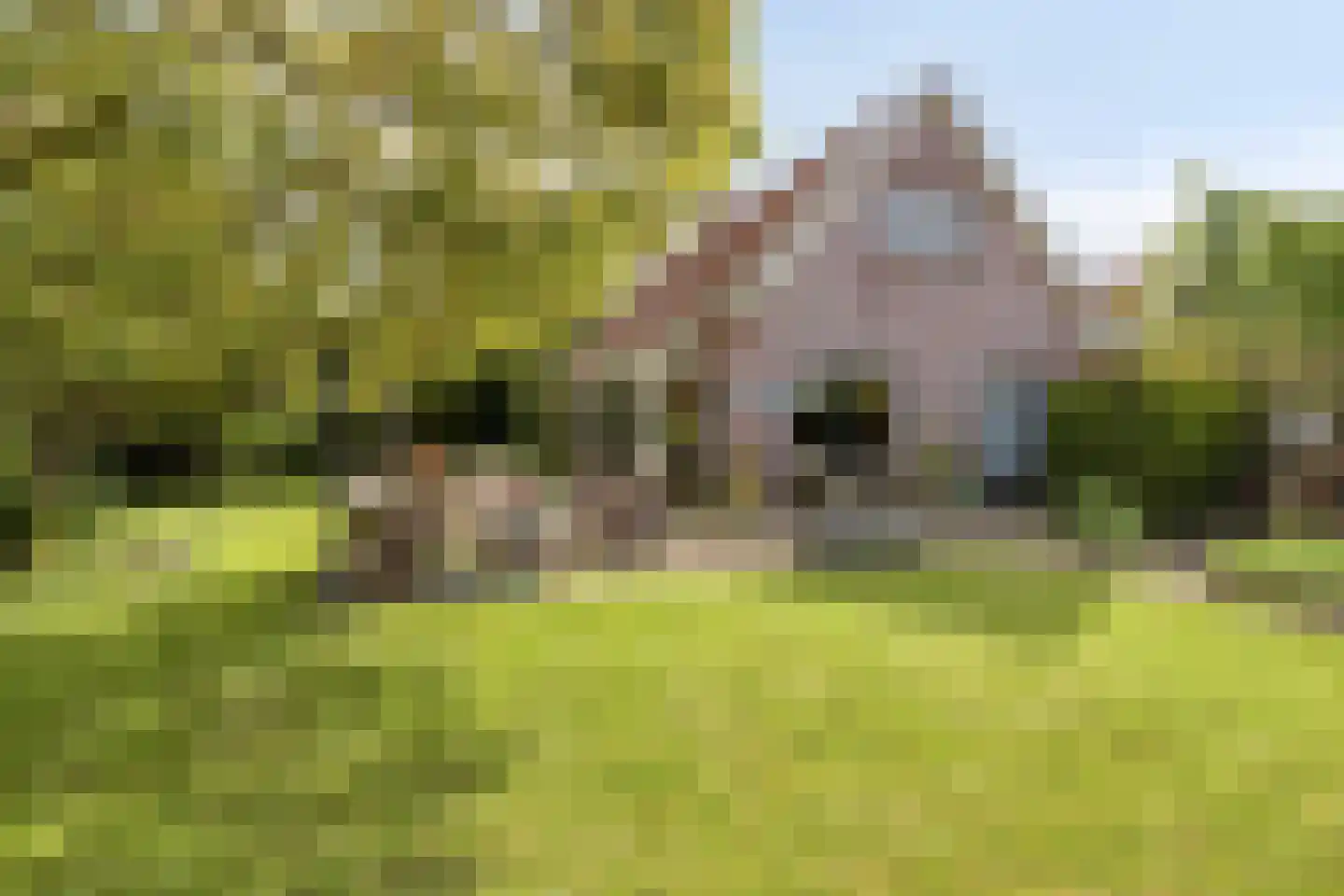 Noardein 64 Oppenhuizen thumbnail 5