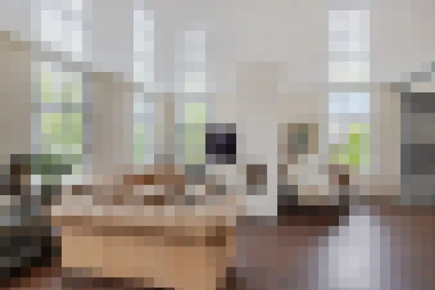 Noardein 75 Oppenhuizen thumbnail 11