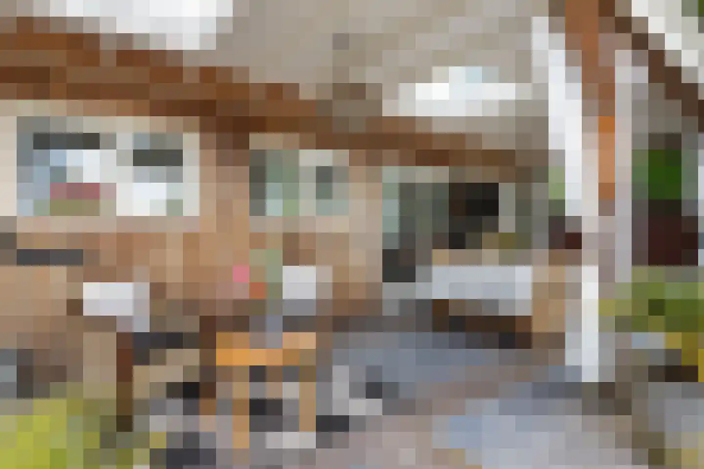 Noardein 75 Oppenhuizen thumbnail 13
