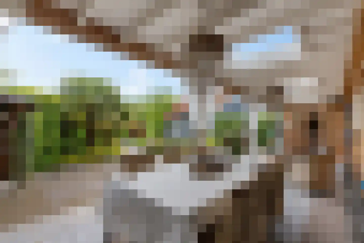 Noardein 75 Oppenhuizen thumbnail 14