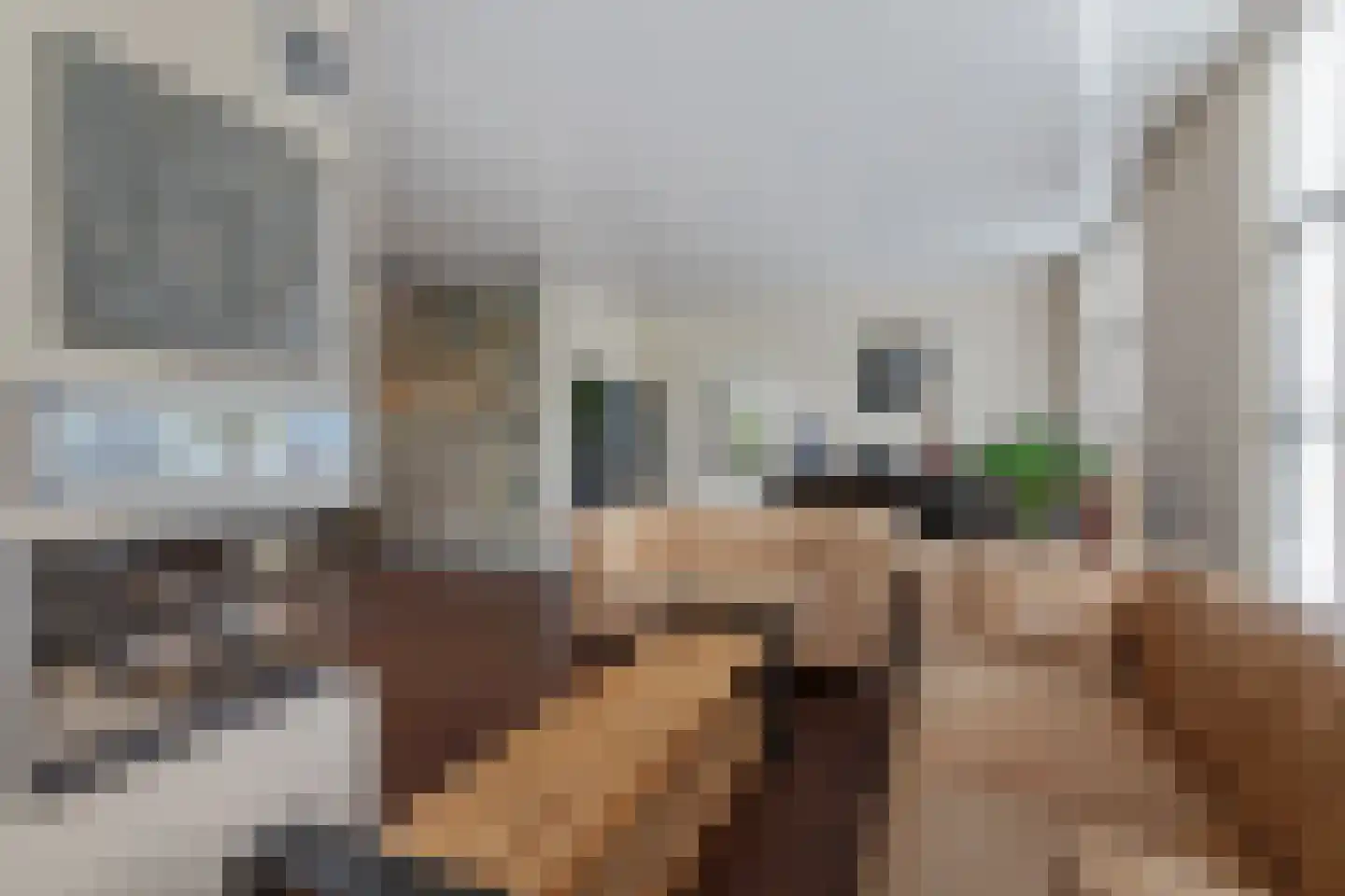Noardein 75 Oppenhuizen thumbnail 14
