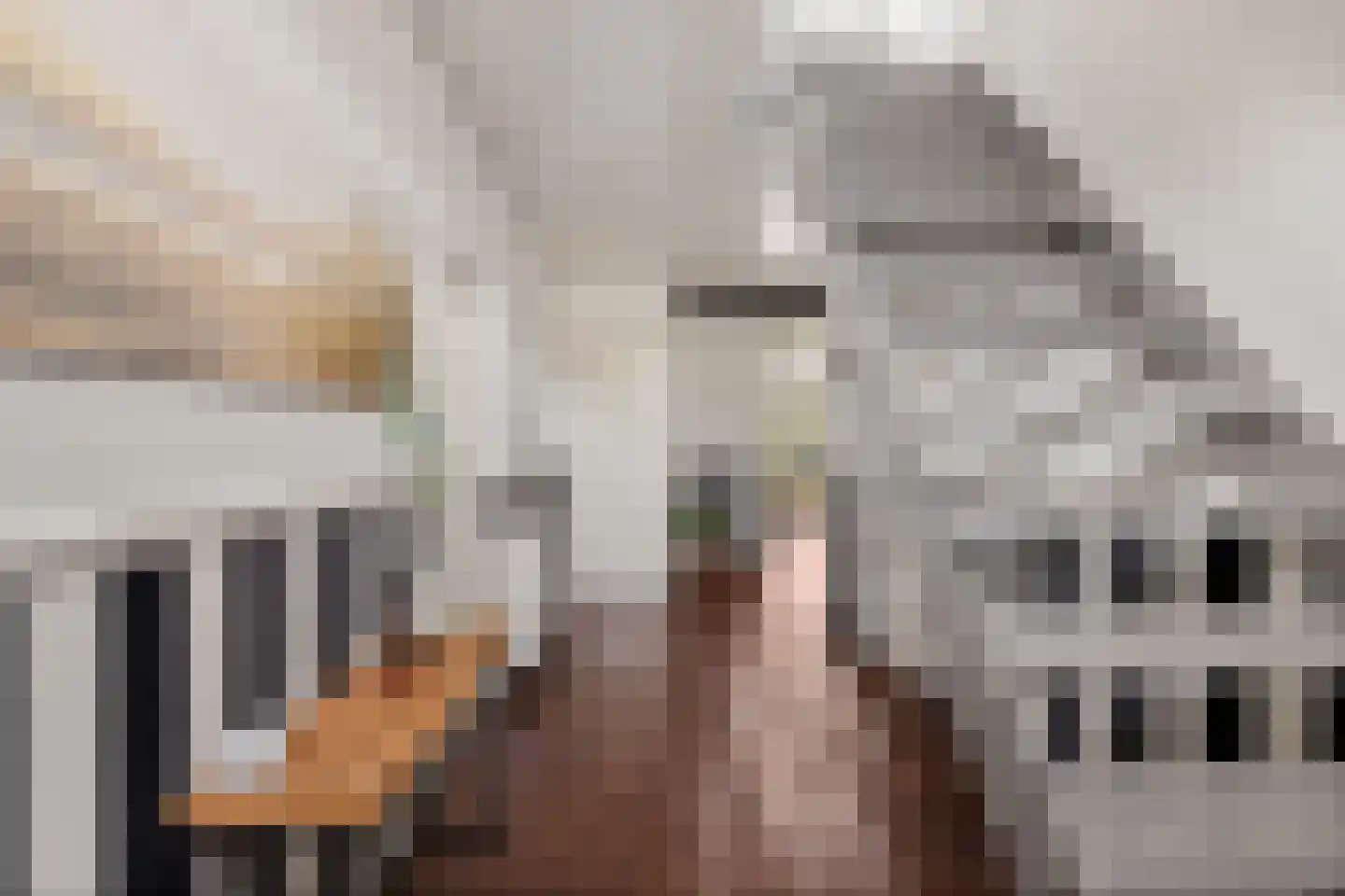 Noardein 75 Oppenhuizen thumbnail 15