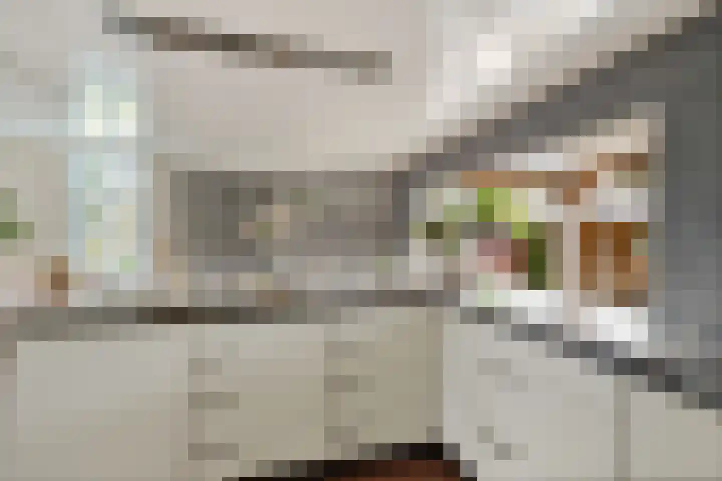 Noardein 75 Oppenhuizen thumbnail 16