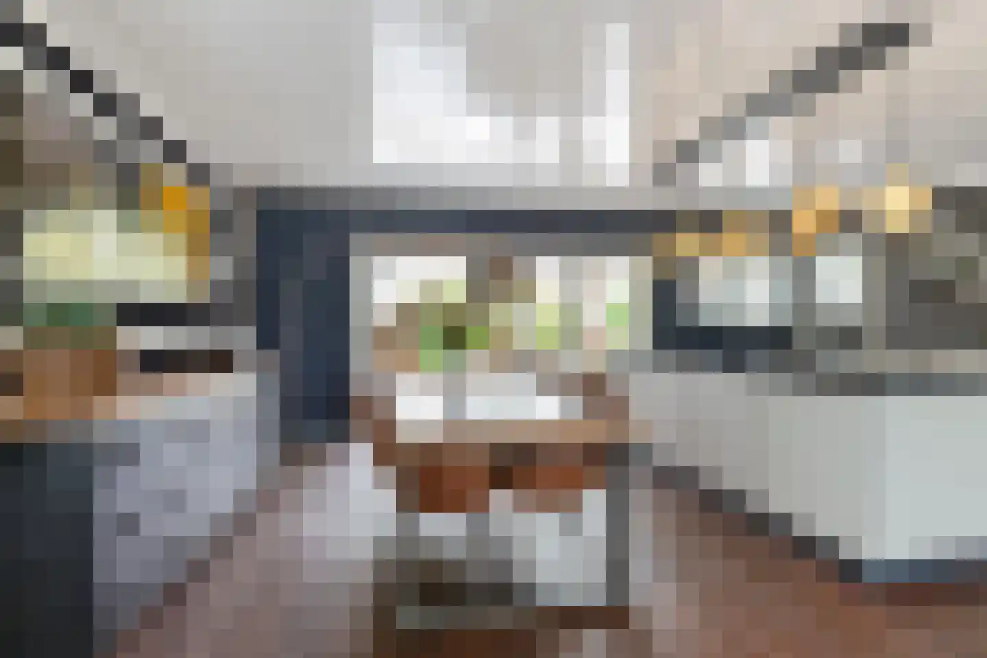 Noardein 75 Oppenhuizen thumbnail 16