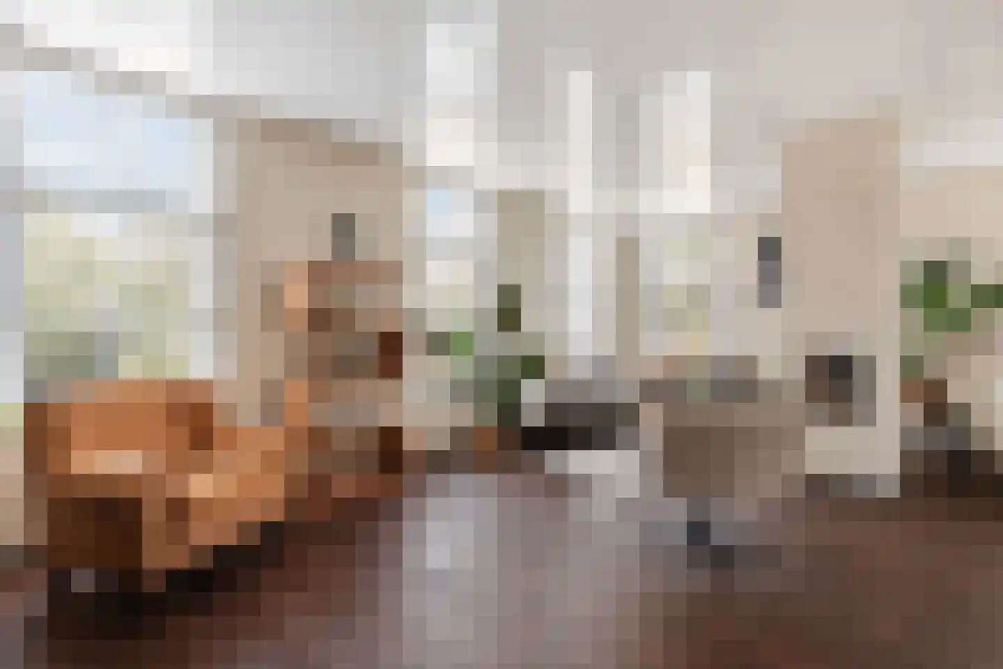 Noardein 75 Oppenhuizen thumbnail 18