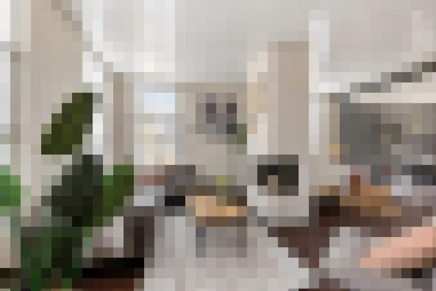Noardein 75 Oppenhuizen thumbnail 19
