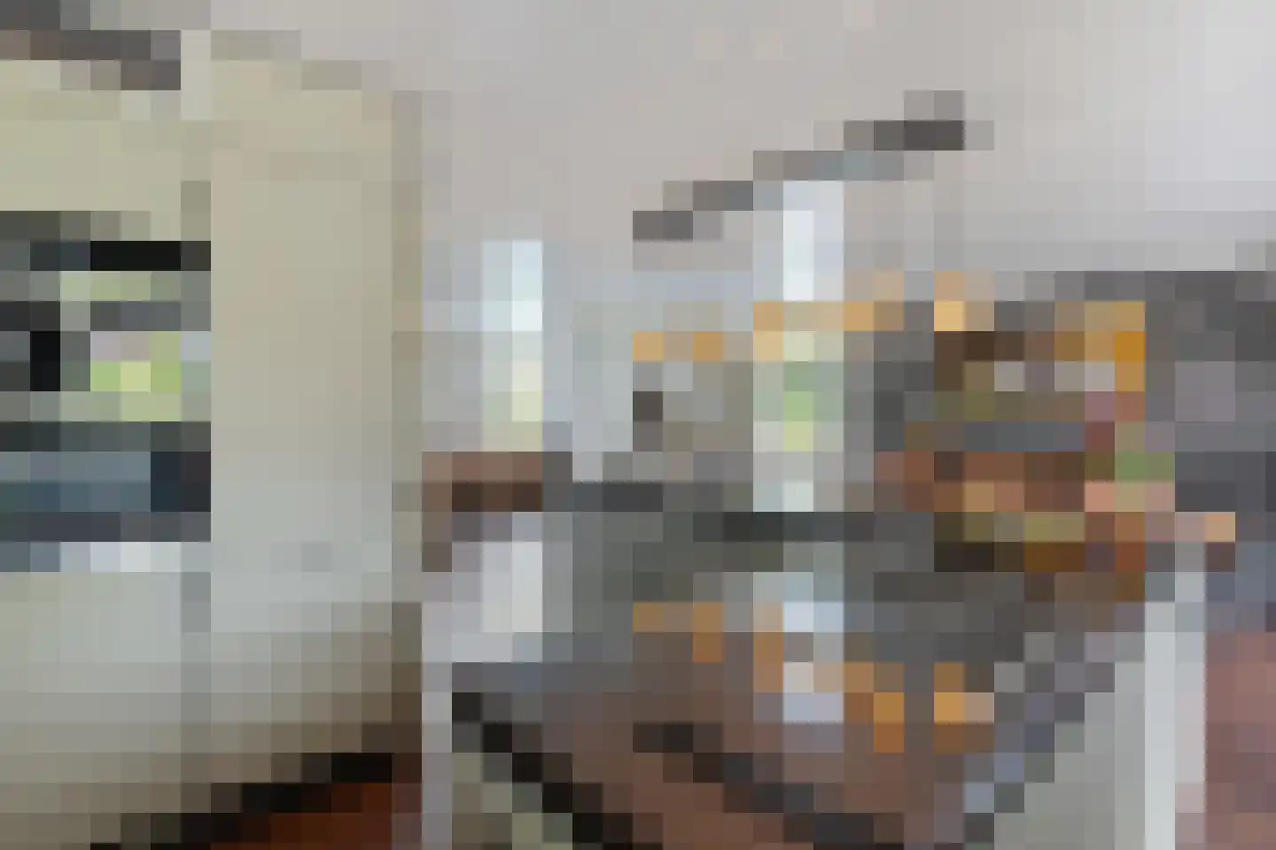Noardein 75 Oppenhuizen thumbnail 19