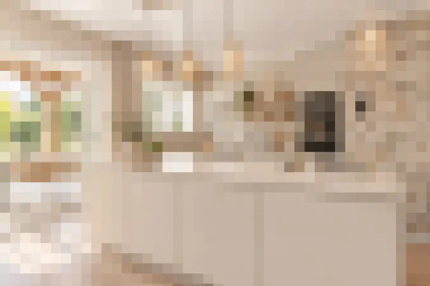 Noardein 75 Oppenhuizen thumbnail 20