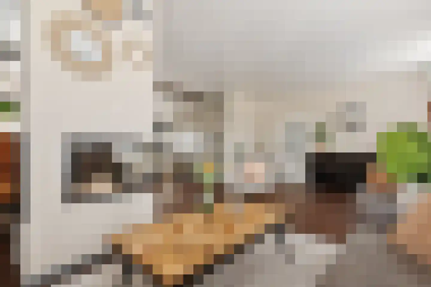 Noardein 75 Oppenhuizen thumbnail 23