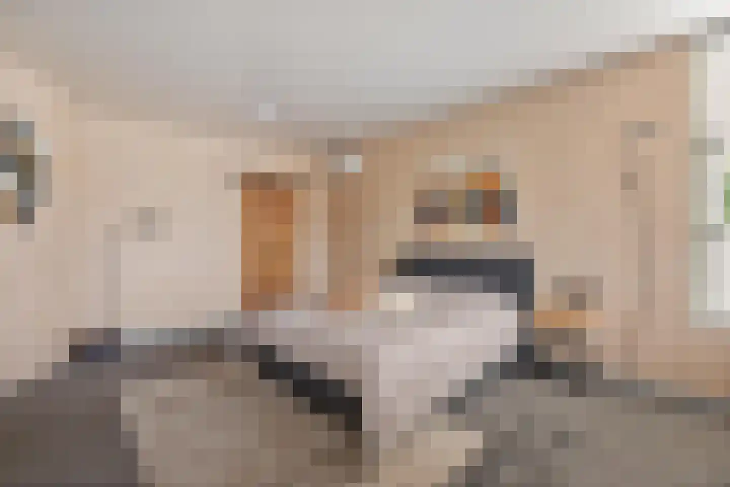 Noardein 75 Oppenhuizen thumbnail 23