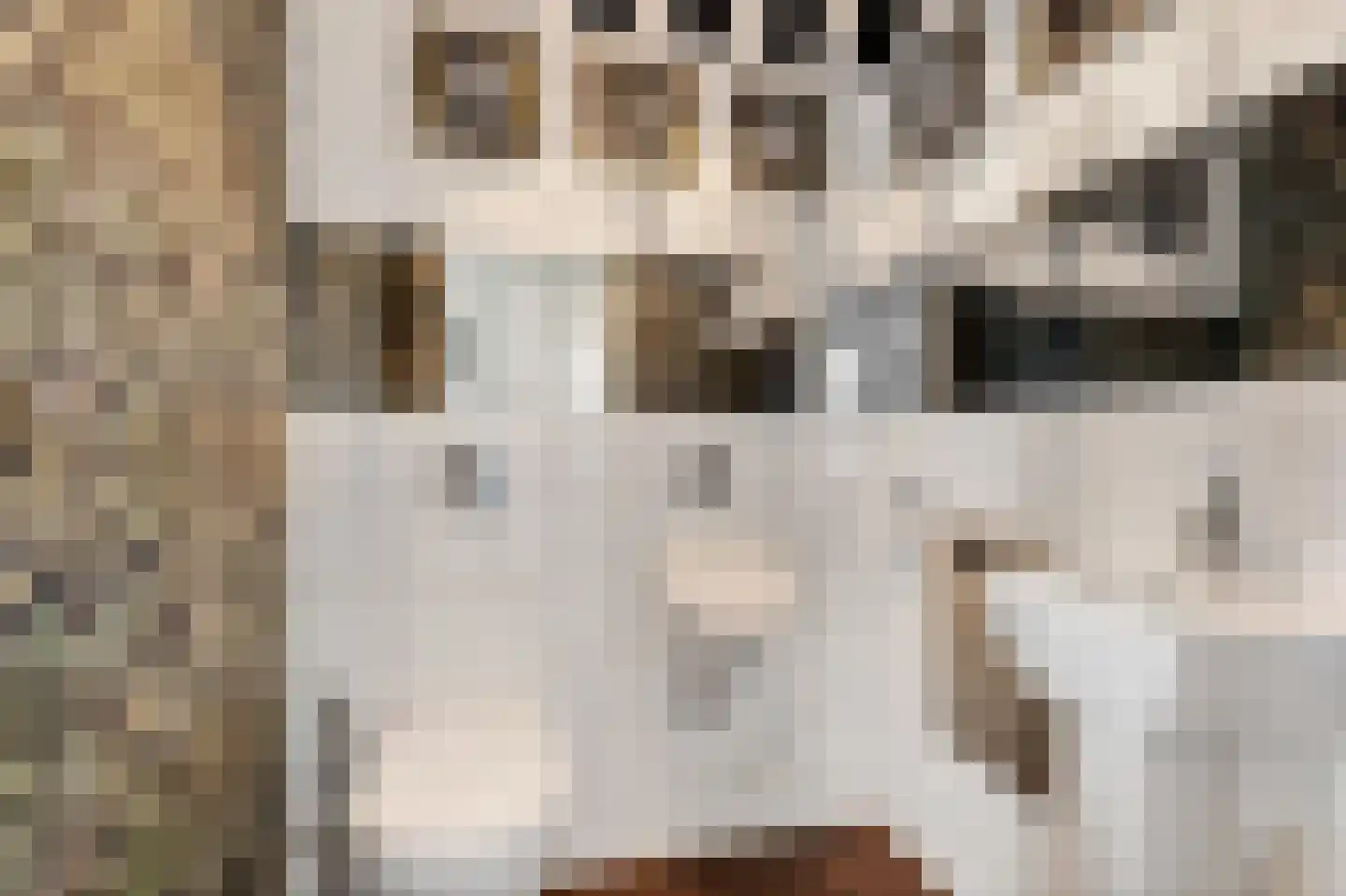 Noardein 75 Oppenhuizen thumbnail 27