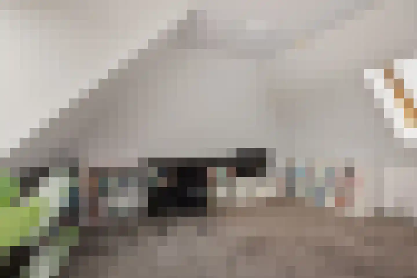 Noardein 75 Oppenhuizen thumbnail 28