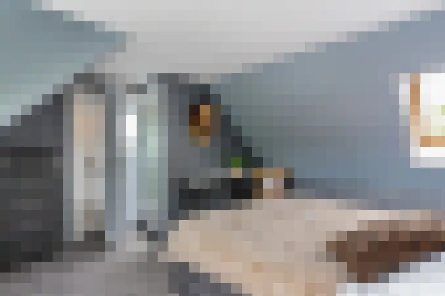 Noardein 75 Oppenhuizen thumbnail 29