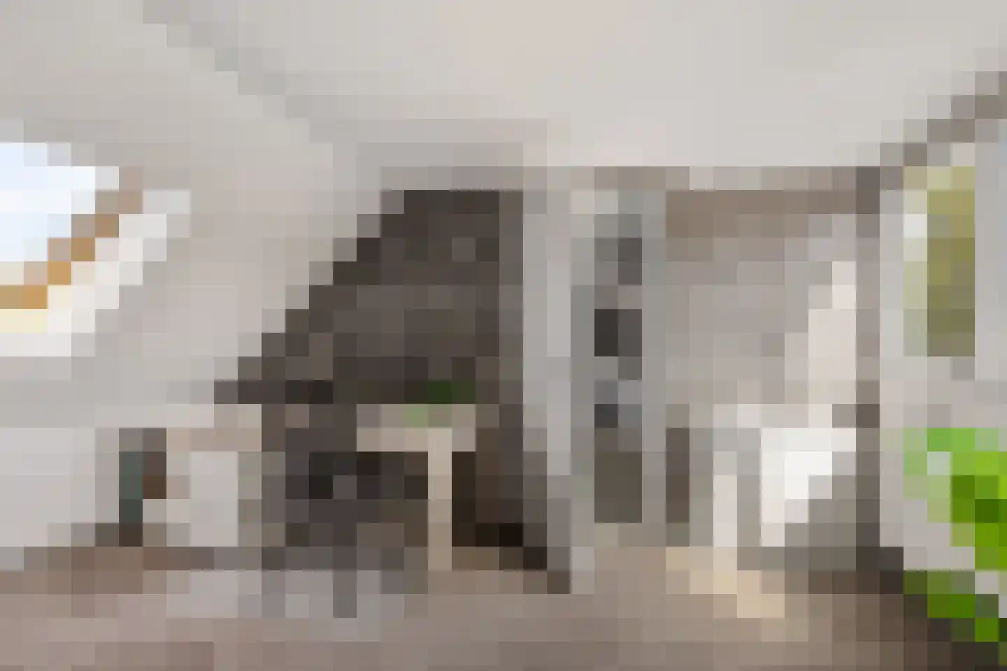 Noardein 75 Oppenhuizen thumbnail 29