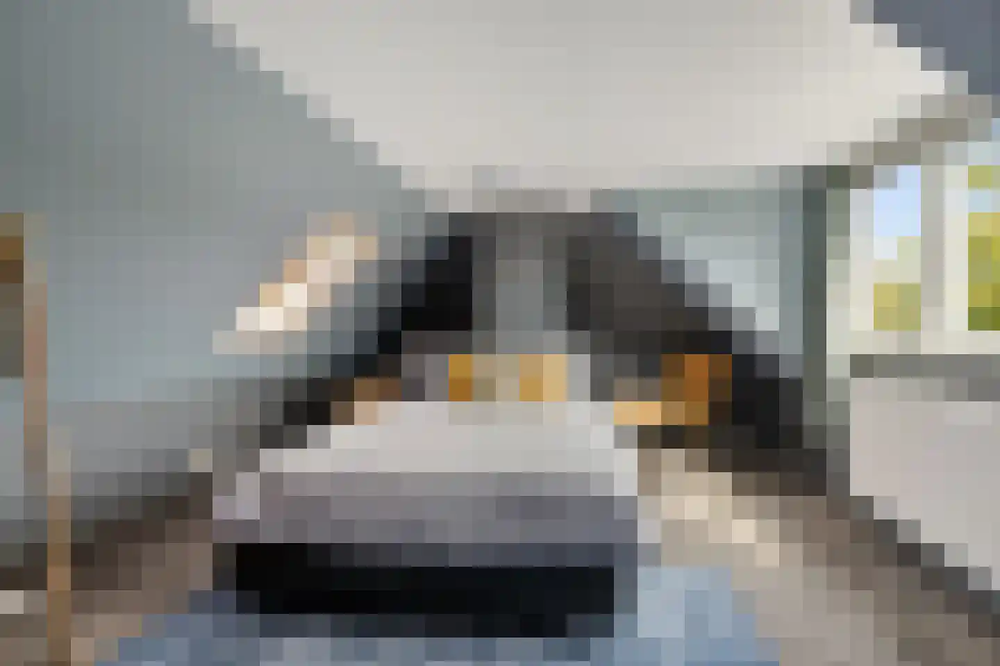 Noardein 75 Oppenhuizen thumbnail 31