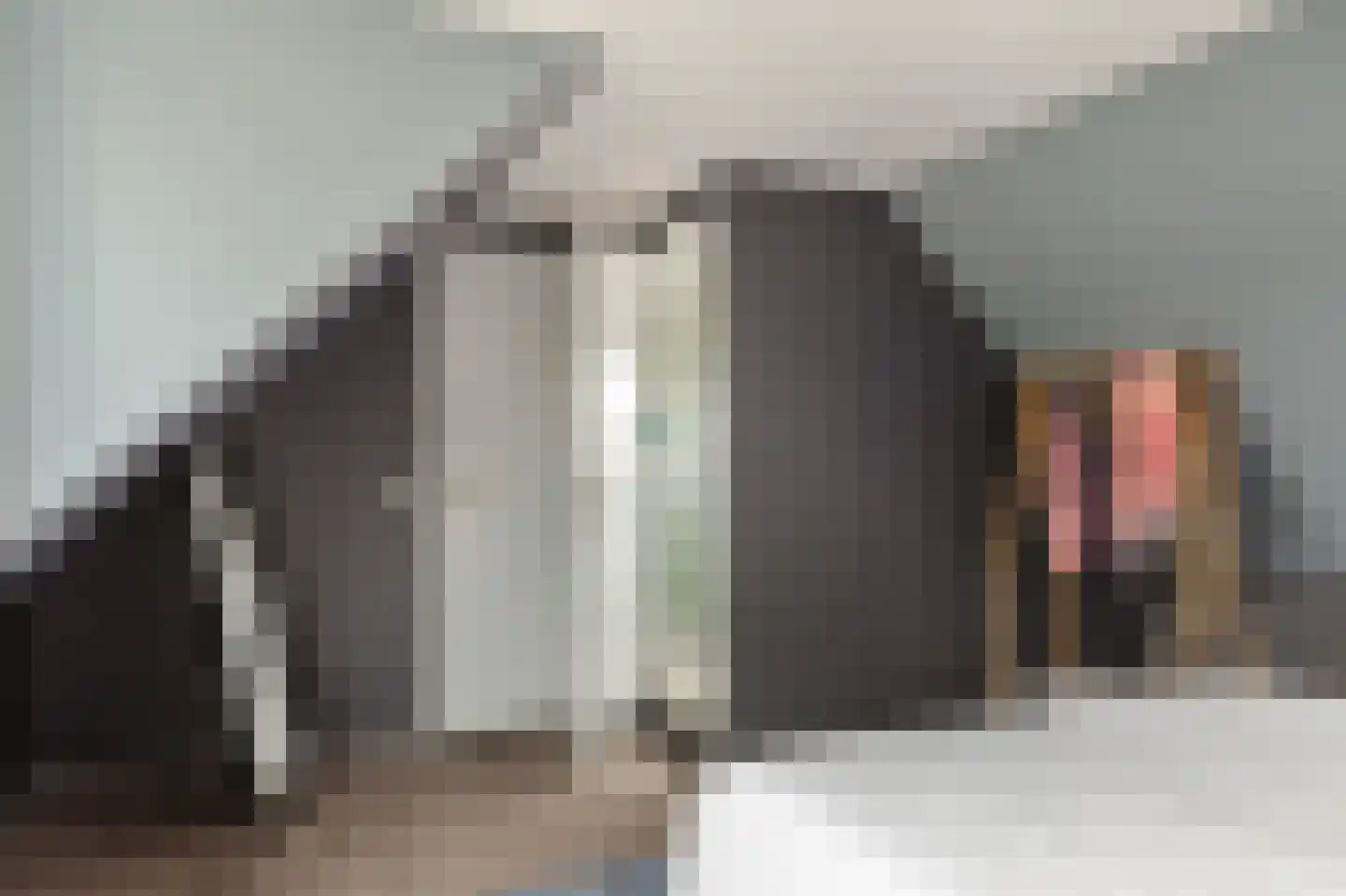 Noardein 75 Oppenhuizen thumbnail 37