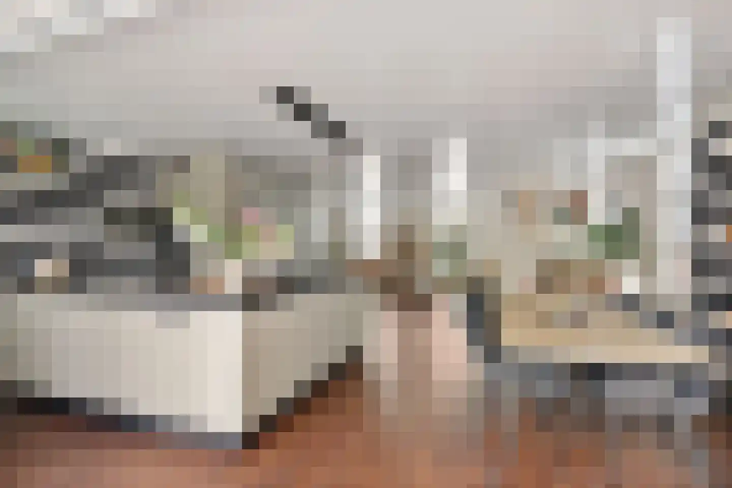 Noardein 75 Oppenhuizen thumbnail 4