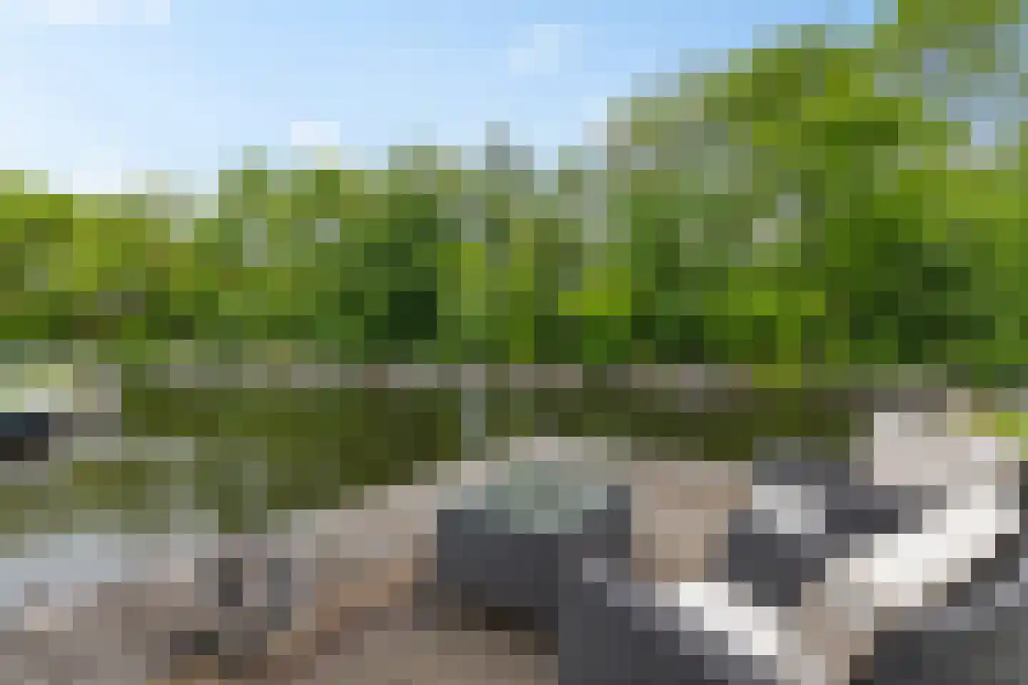 Noardein 75 Oppenhuizen thumbnail 40