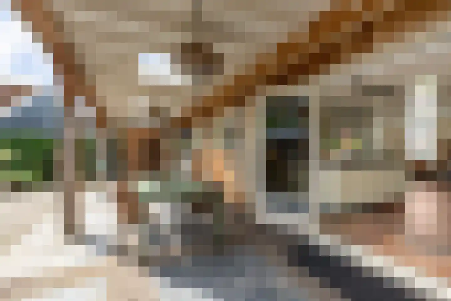 Noardein 75 Oppenhuizen thumbnail 40
