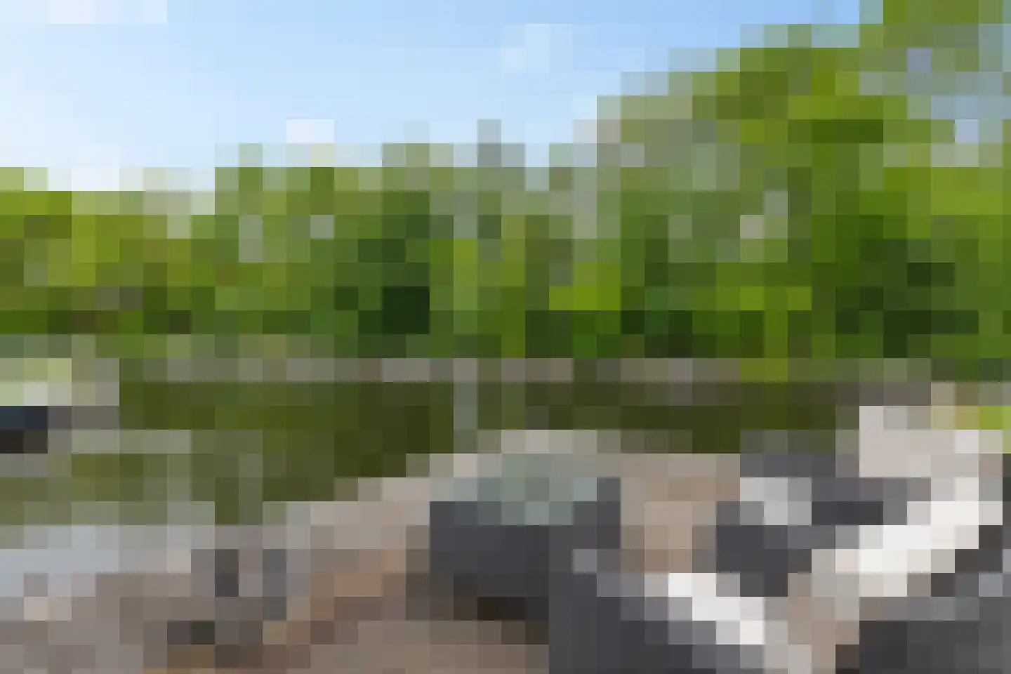 Noardein 75 Oppenhuizen thumbnail 42