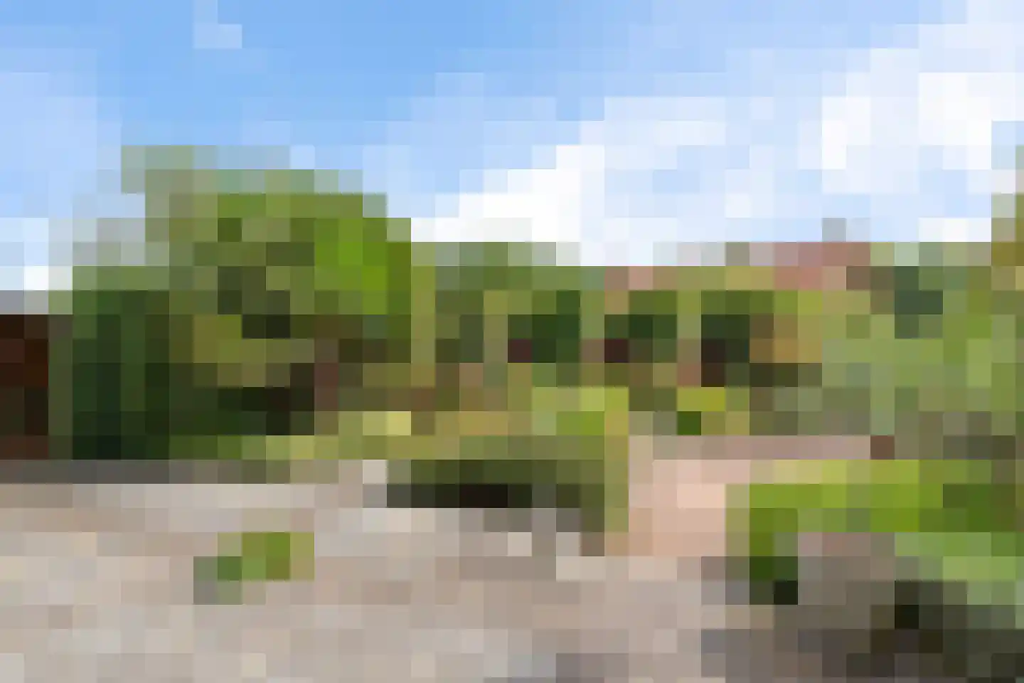Noardein 75 Oppenhuizen thumbnail 53