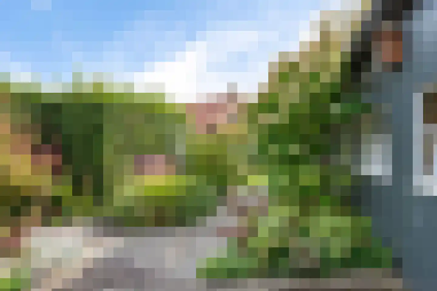 Noardein 75 Oppenhuizen thumbnail 54