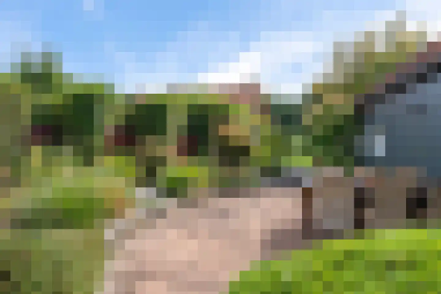 Noardein 75 Oppenhuizen thumbnail 55