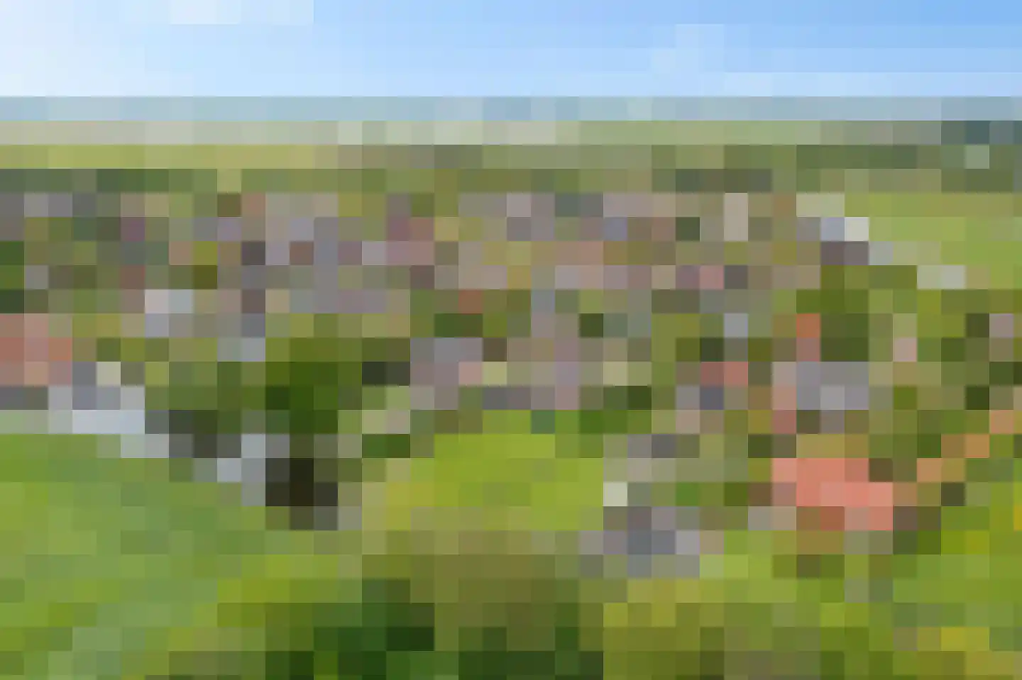 Noardein 75 Oppenhuizen thumbnail 56