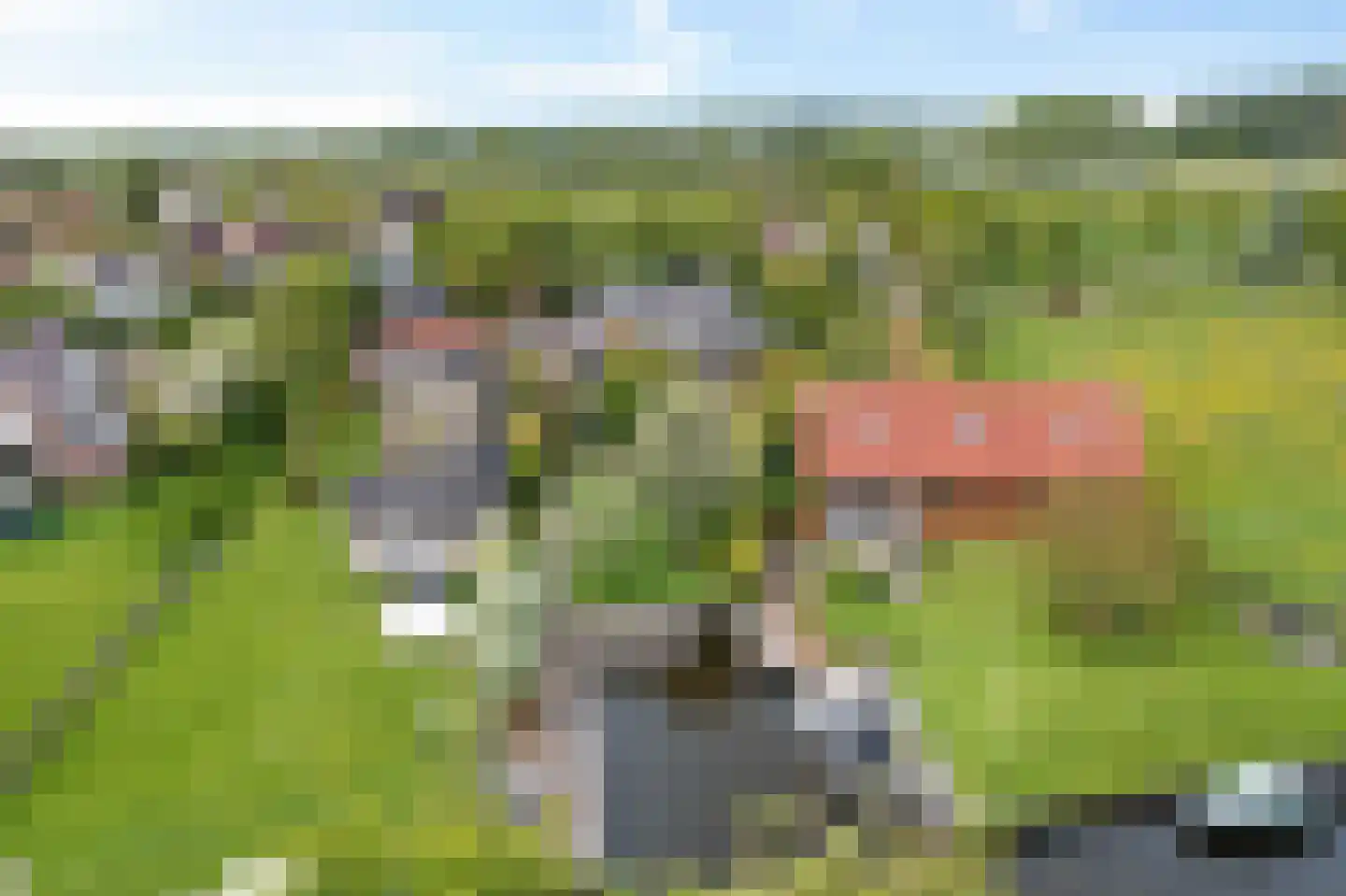Noardein 75 Oppenhuizen thumbnail 58
