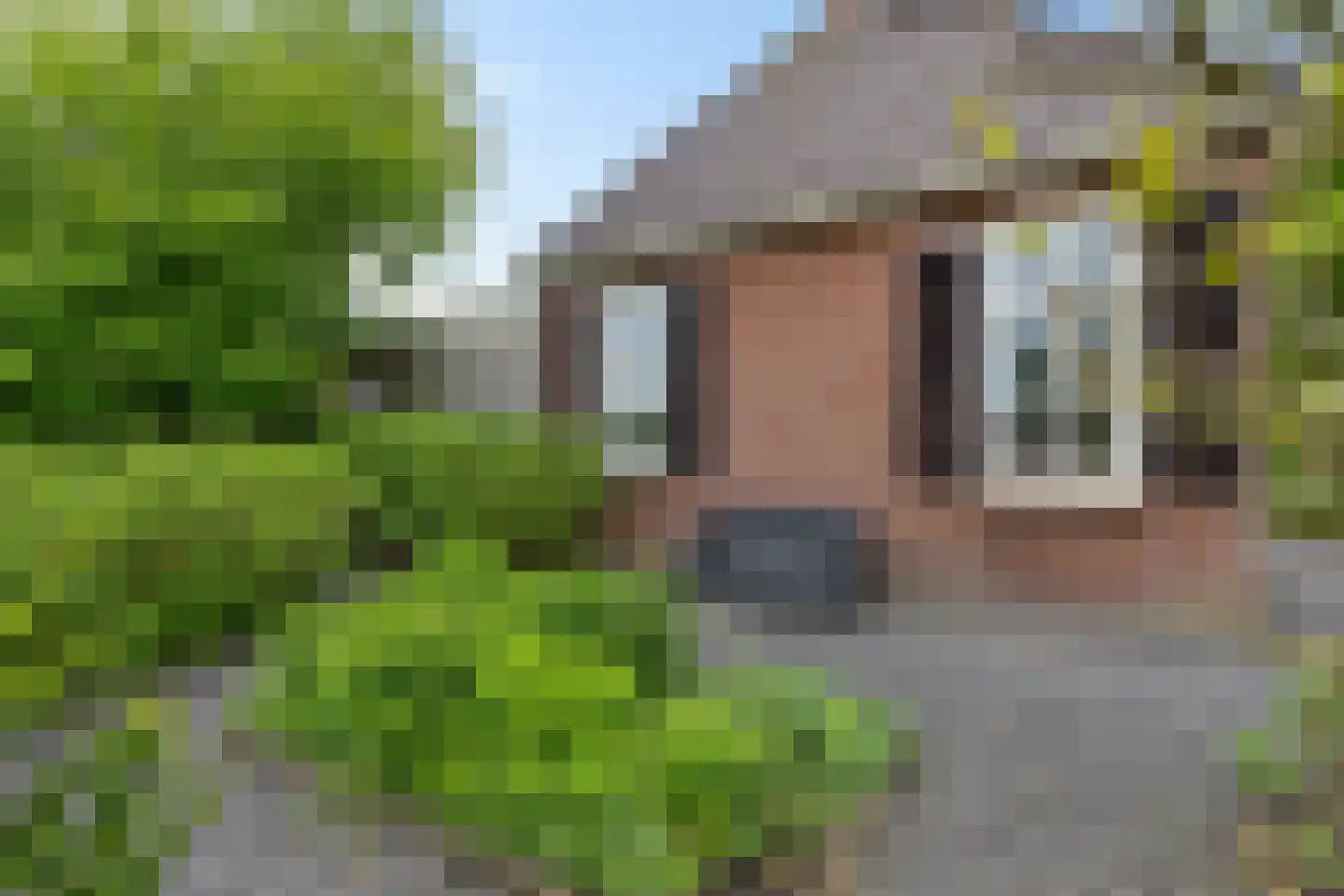 Noardein 75 Oppenhuizen thumbnail 8